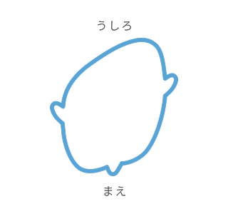 斜頭症